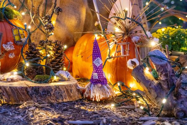 Pumpkins on Parade