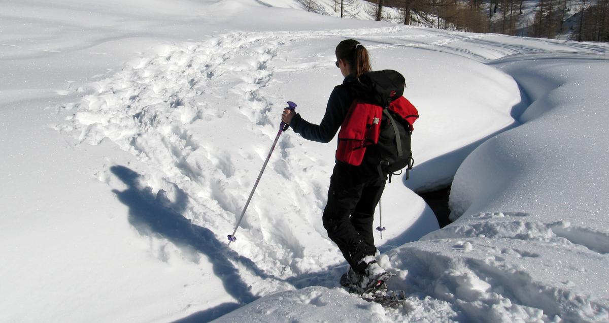 Woman Snow Shoeing in Lory State Park