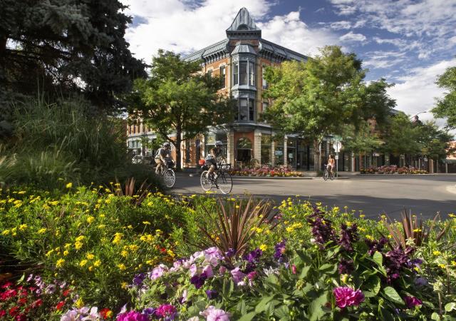 Old Town Linden Hotel, Flowers, Bikes