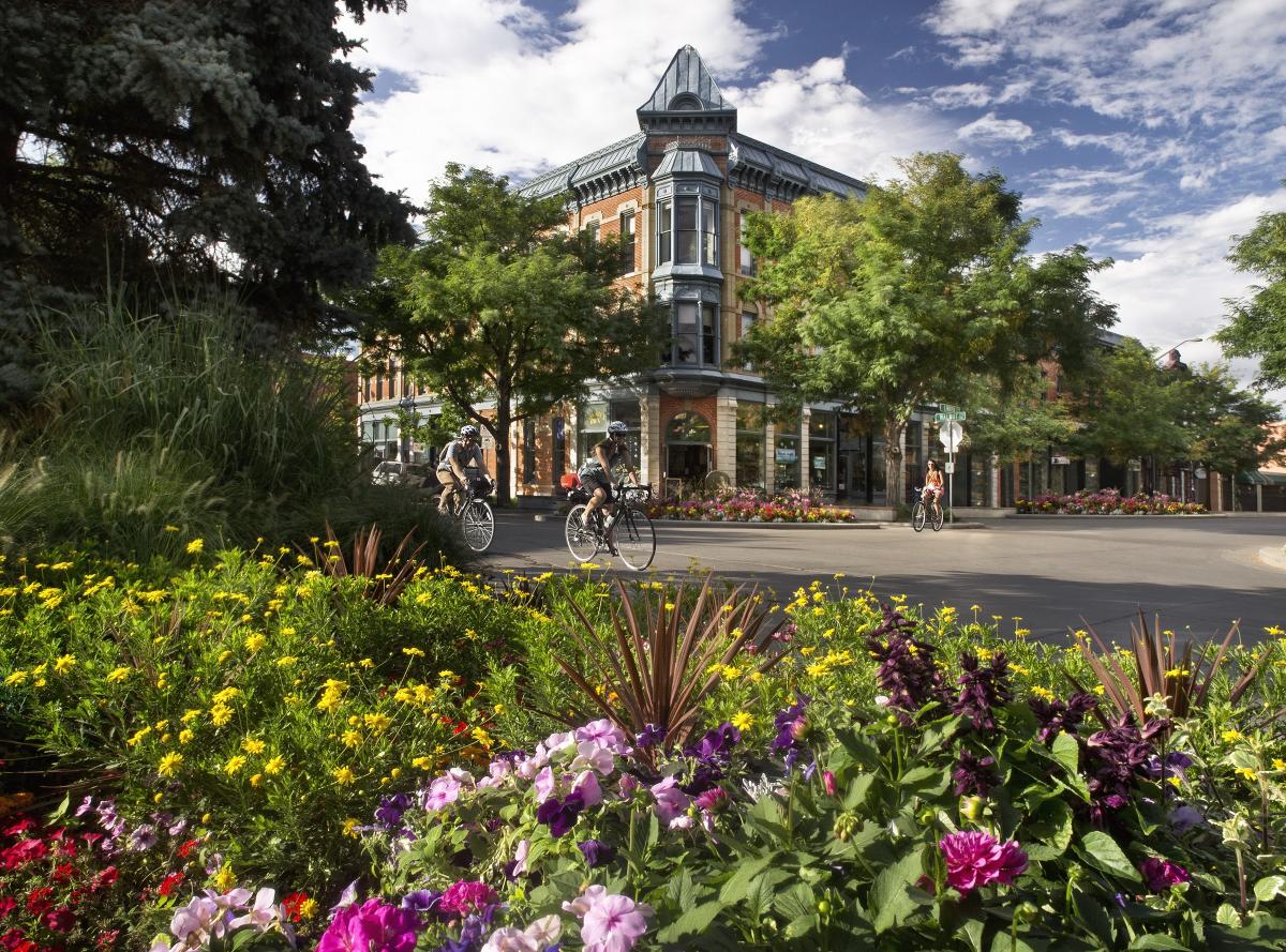 Old Town Linden Hotel, Flowers, Bikes