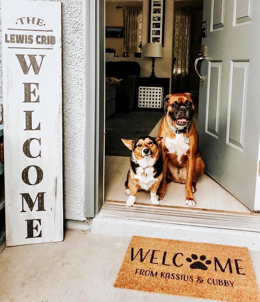 Board & Brush Dogs and Welcome Mat