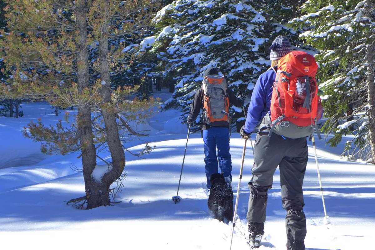 Cross country skiing at Cameron Pass