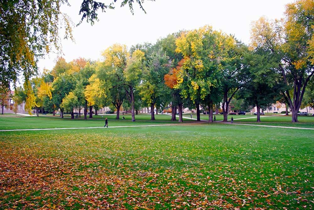 CSU-oval-Fall-1000x667