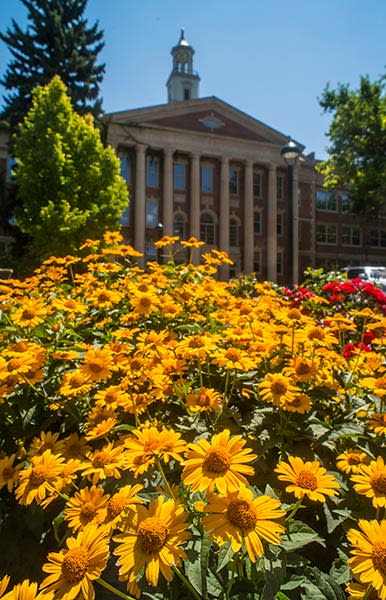 CSU Trial Garden