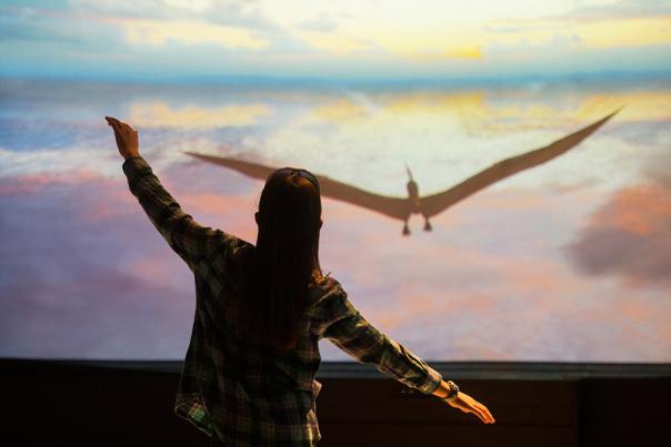 Pterosaurs Museum of Discovery---credit-Richard-Haro