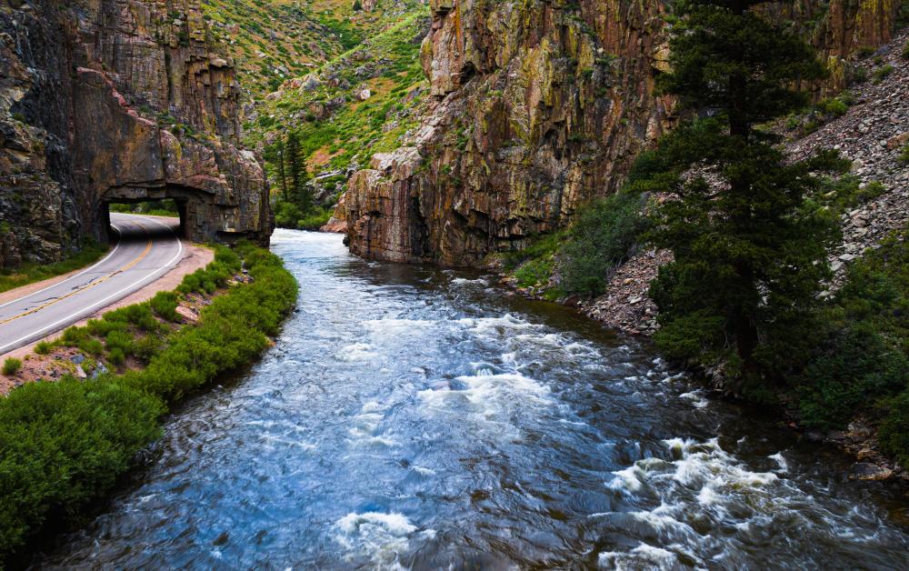 Road and river in Poudre Canyon