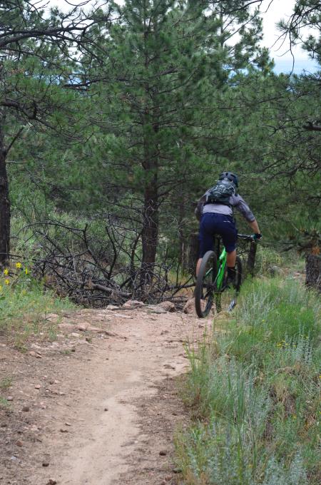 Mountain Biking