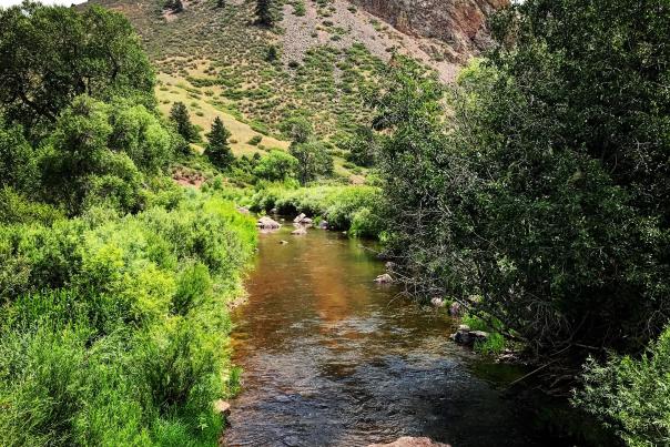 Eagle's Nest Open Space