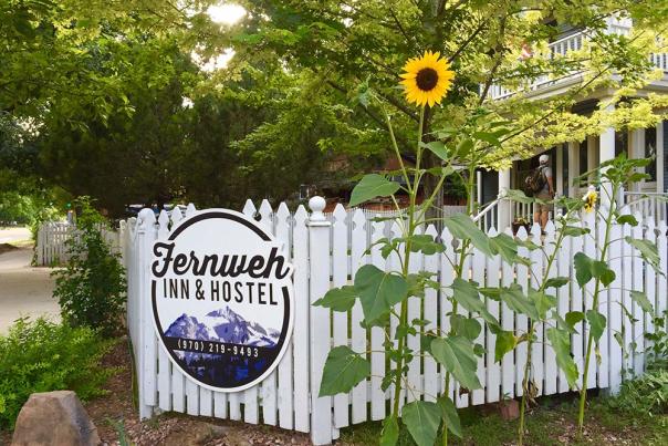 Exterior---Sunflowers