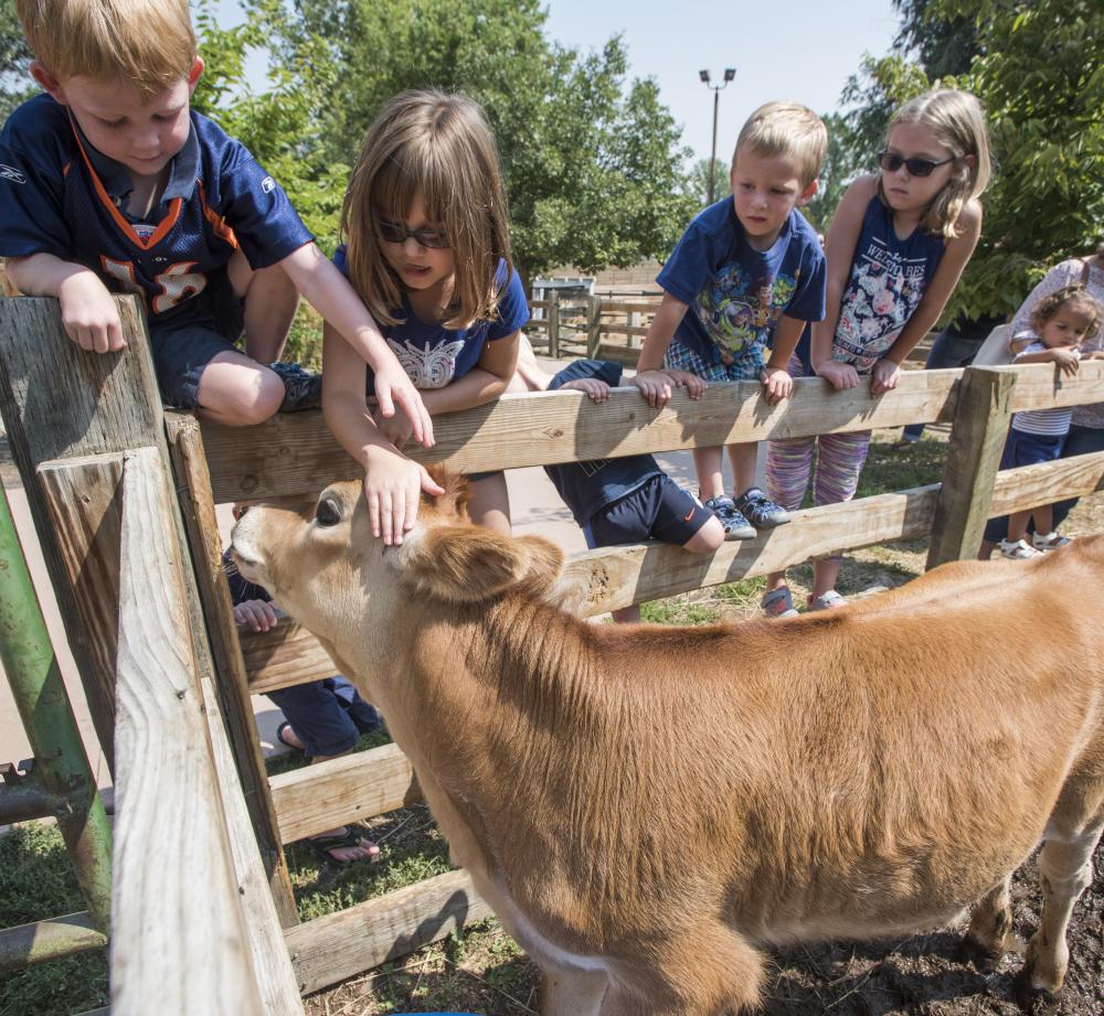 Family Fun at Lee Martinez Park Farm