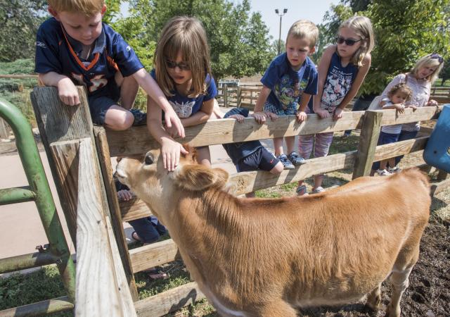 Family Fun at Lee Martinez Park Farm