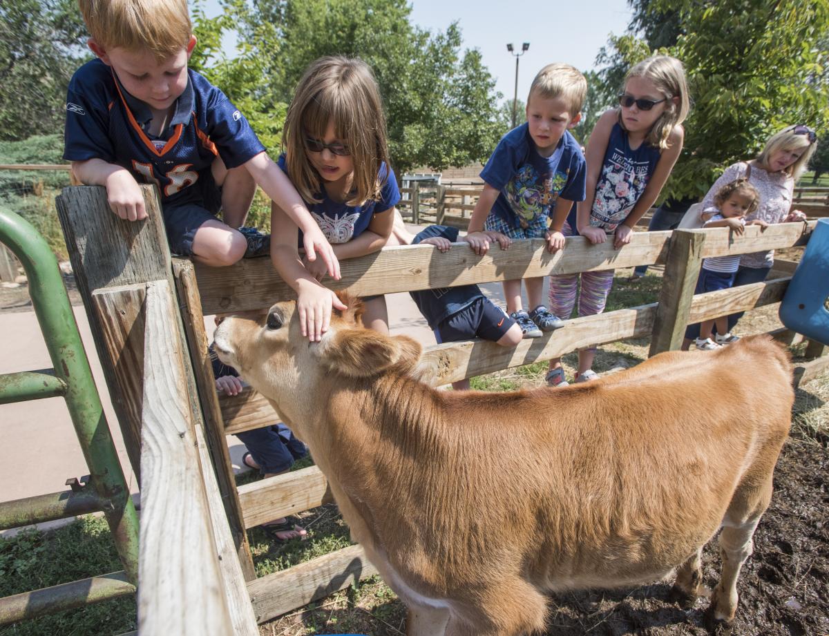 Family Fun at Lee Martinez Park Farm