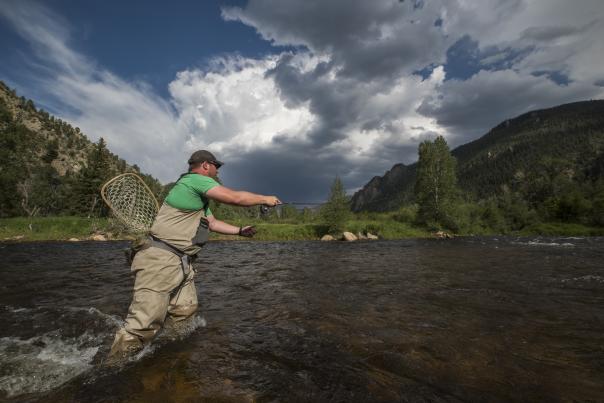 Fly Fishing Poudre River