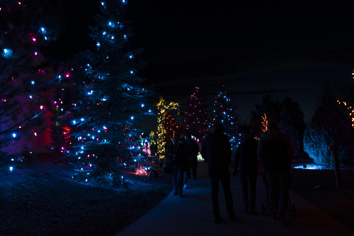 Garden of Lights