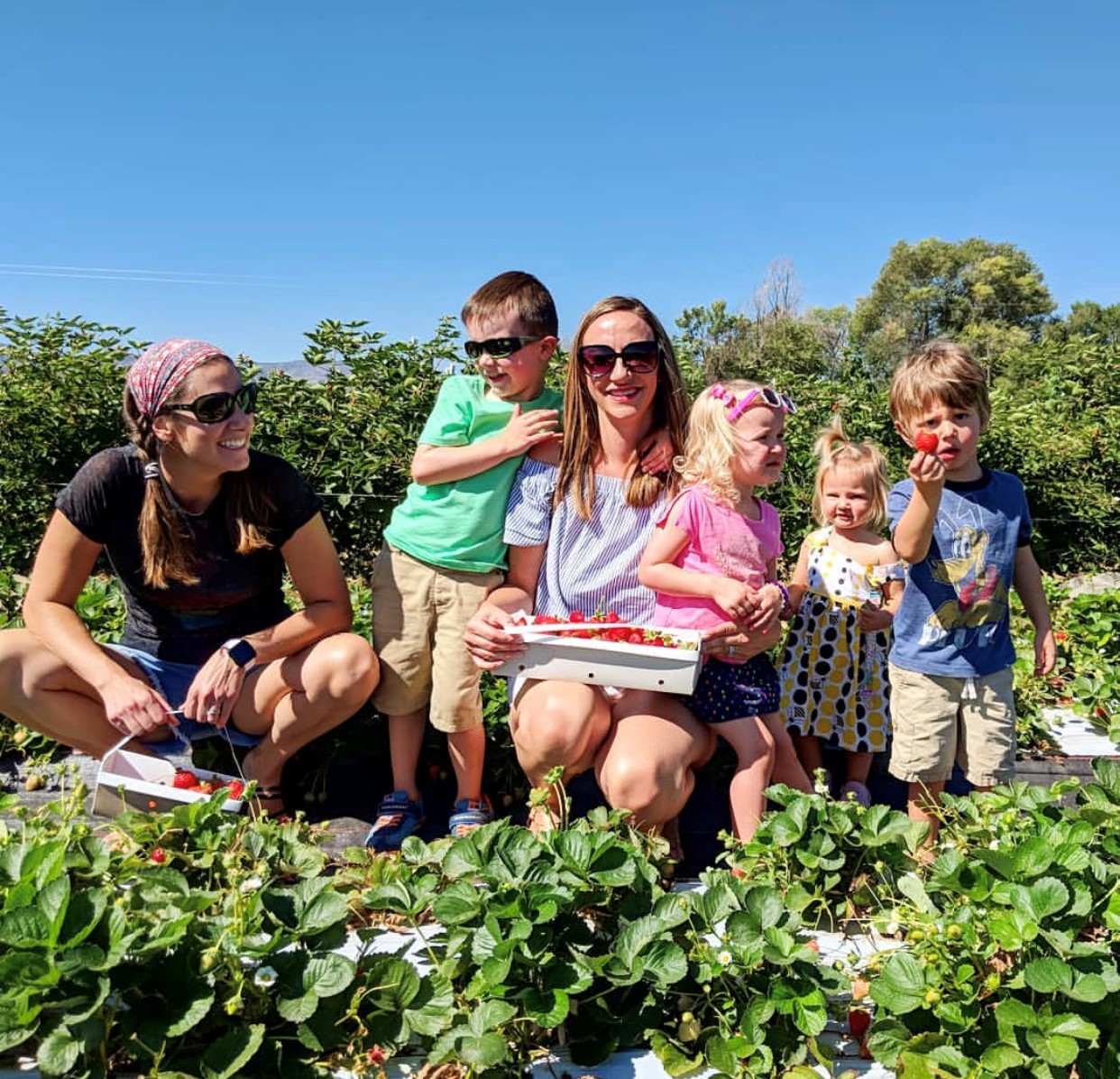 Garden Sweet Family