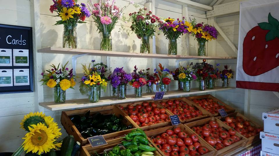 Garden Sweet Fruit Display flowers