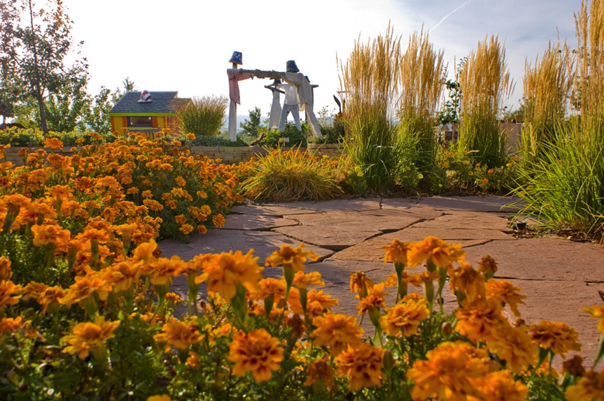 Gardens on Spring Creek Fall