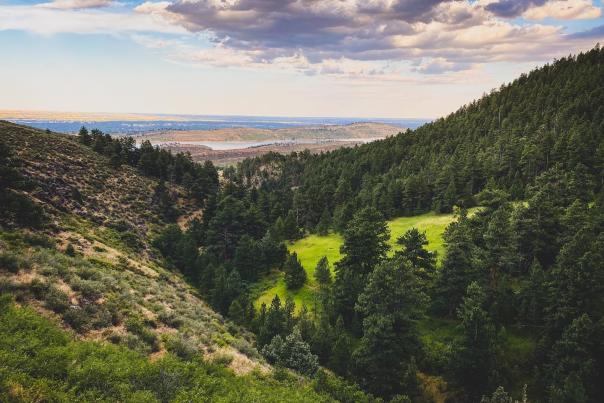 Green Mountainside