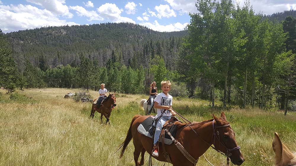 Beaver Meadows Stables