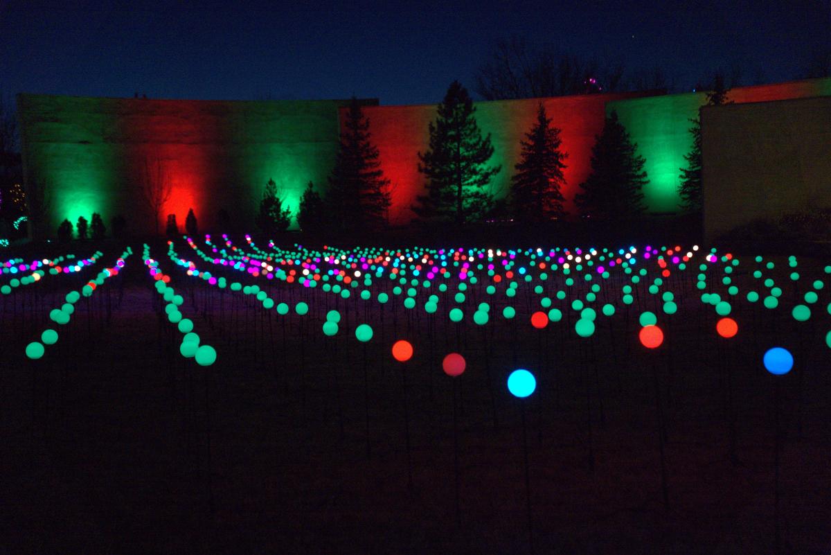 Garden of Lights 2