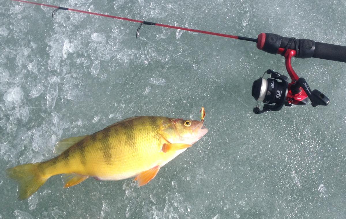 NoCoFishing_IceFishing