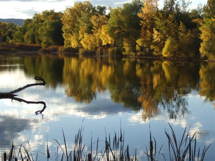 North Shields Ponds Natural Area