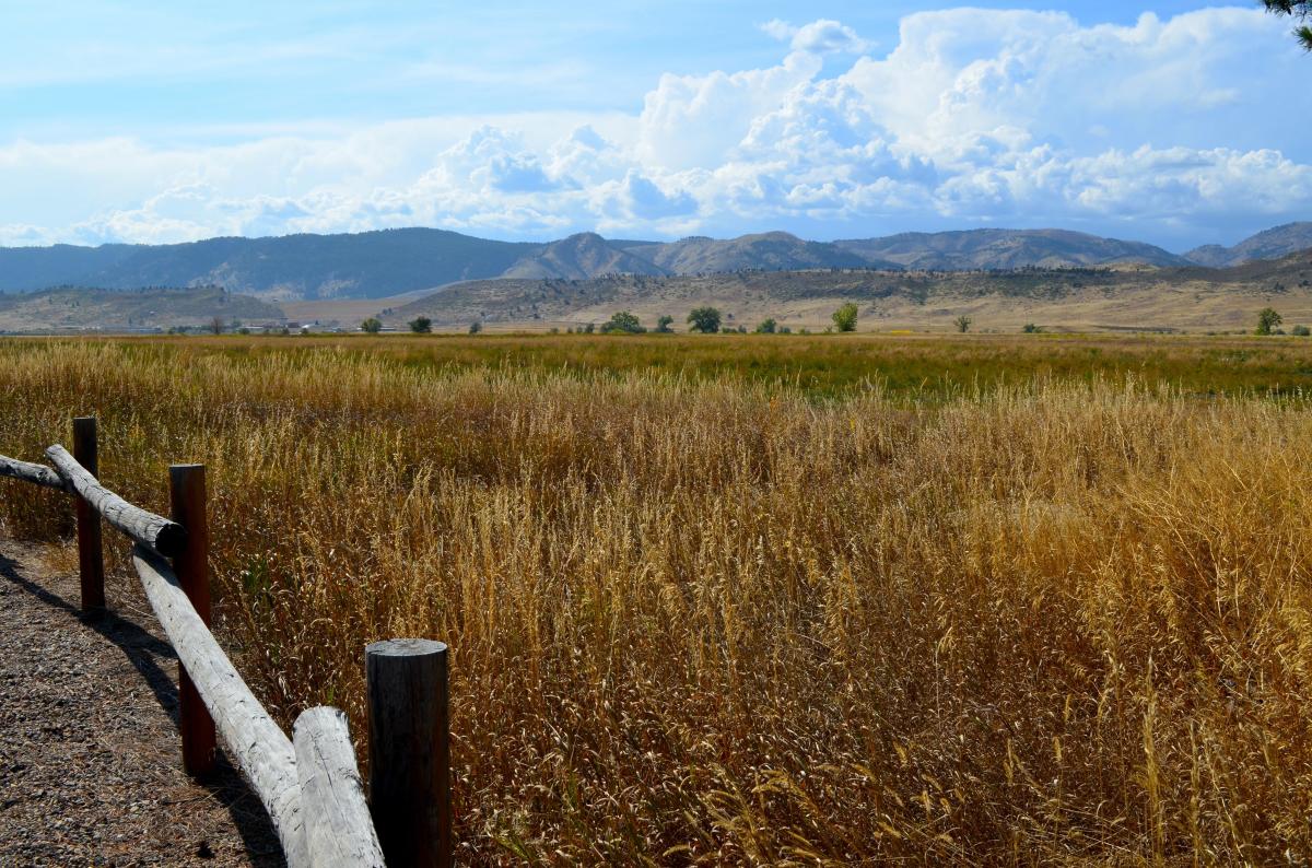 View Of Reservoir Ridge Open Space