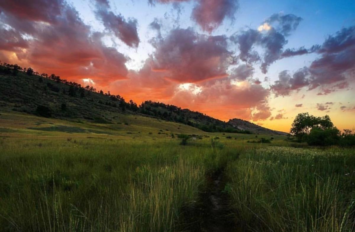 Pineridge Natural Area wmorleyphotography