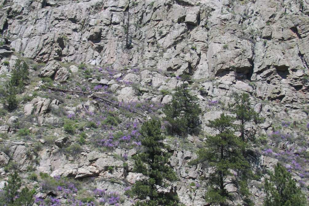 Poudre Canyon