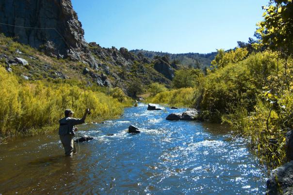 poudre-river-fly-fishing