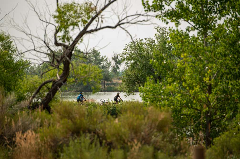 Clyclists Trees