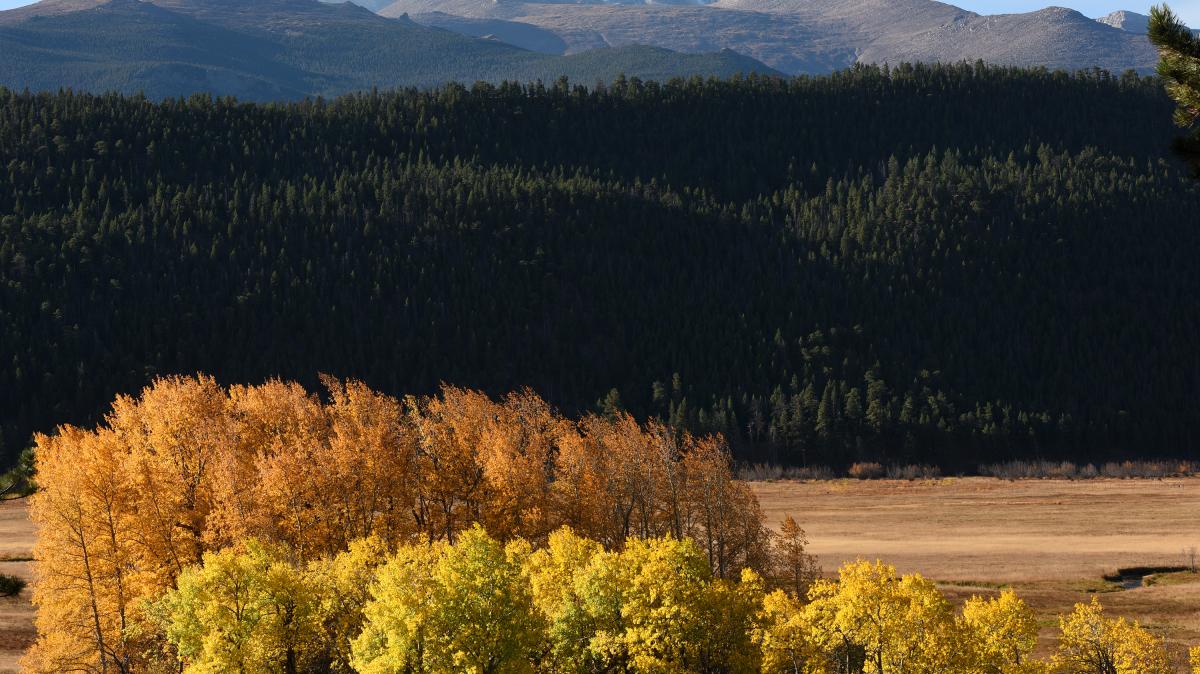 Rocky Mountain National Park in the Fall