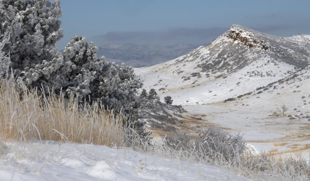 Winter Snow Outdoors