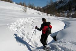 Snow Shoeing in Lory State Park