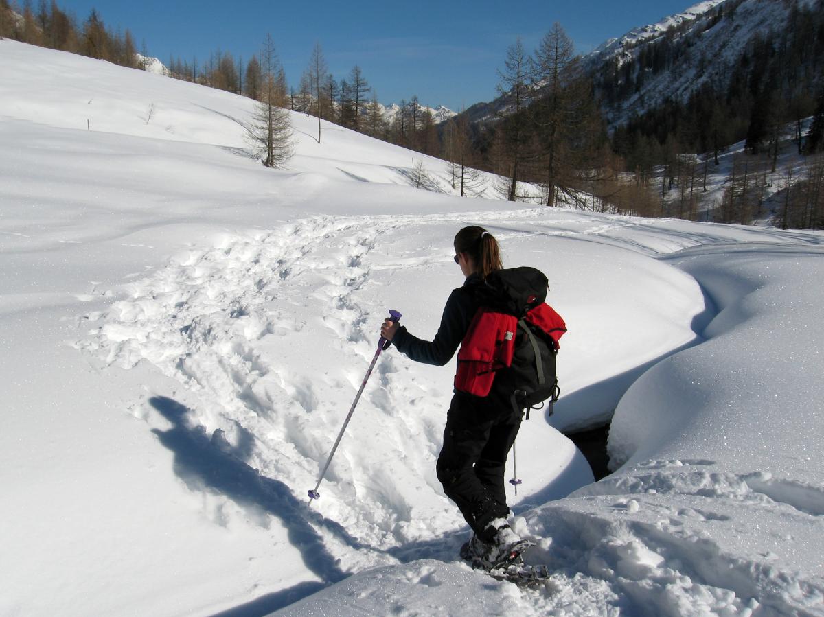 Snow Shoeing in Lory State Park