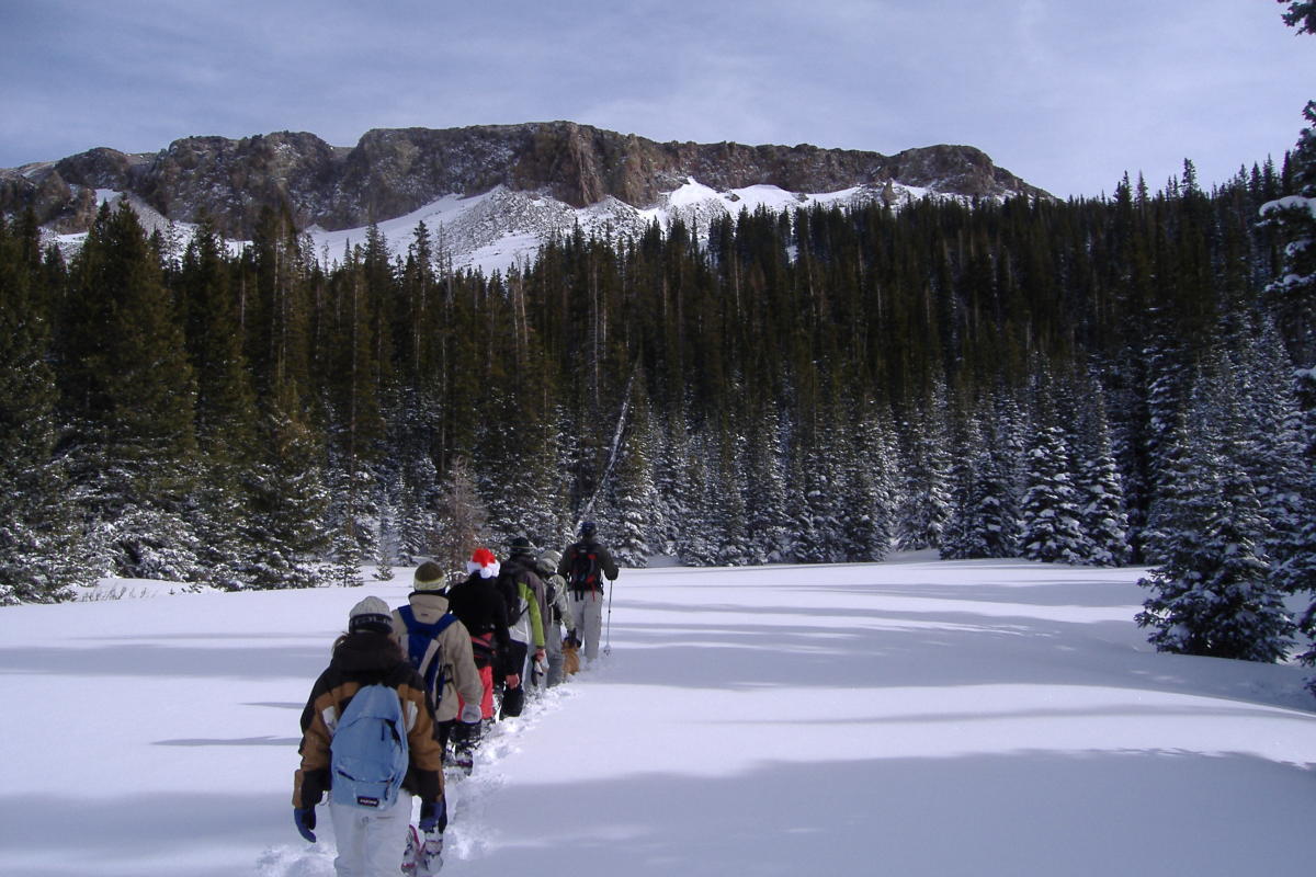 People Snowshoeing In Fort Collins, CO