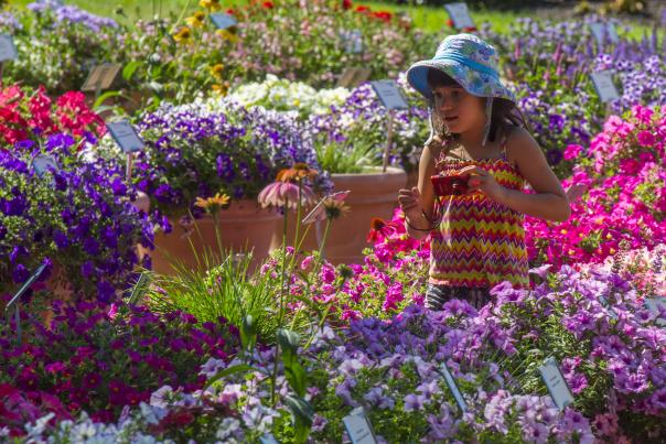 CSU Trial Garden