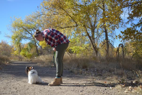 Summit Dog Training