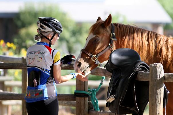 Tour de Farms Bike Horse