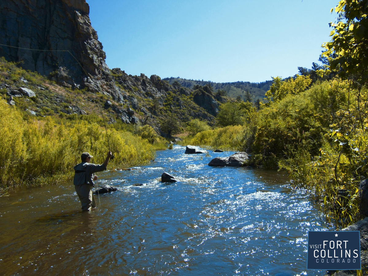 Virtual fly fishing Poudre w logo