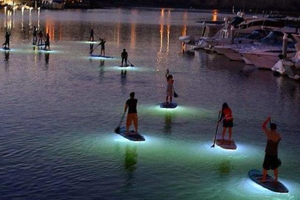 What's SUP night glow paddle