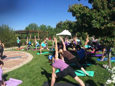 Yoga-at-the-Gardens